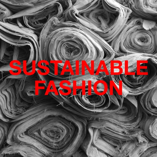 Sustainable Fashion: The Future of the Clothing Industry